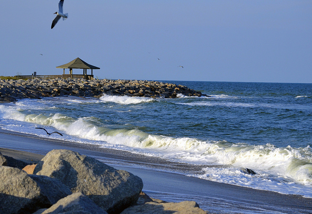 2022a7748d67703cc2d452a7bb709187