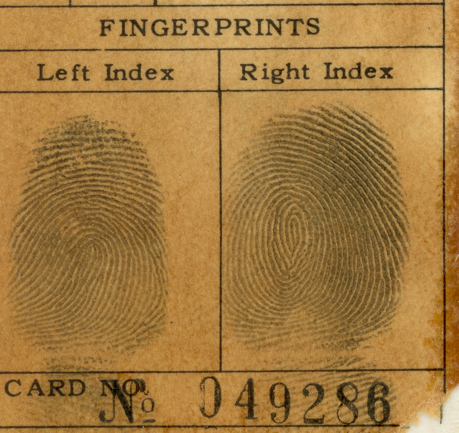 This image has an empty alt attribute; its file name is img774-3388810467-e1719900115572.jpg