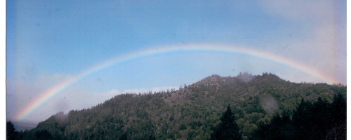 Scan_20190425_181536