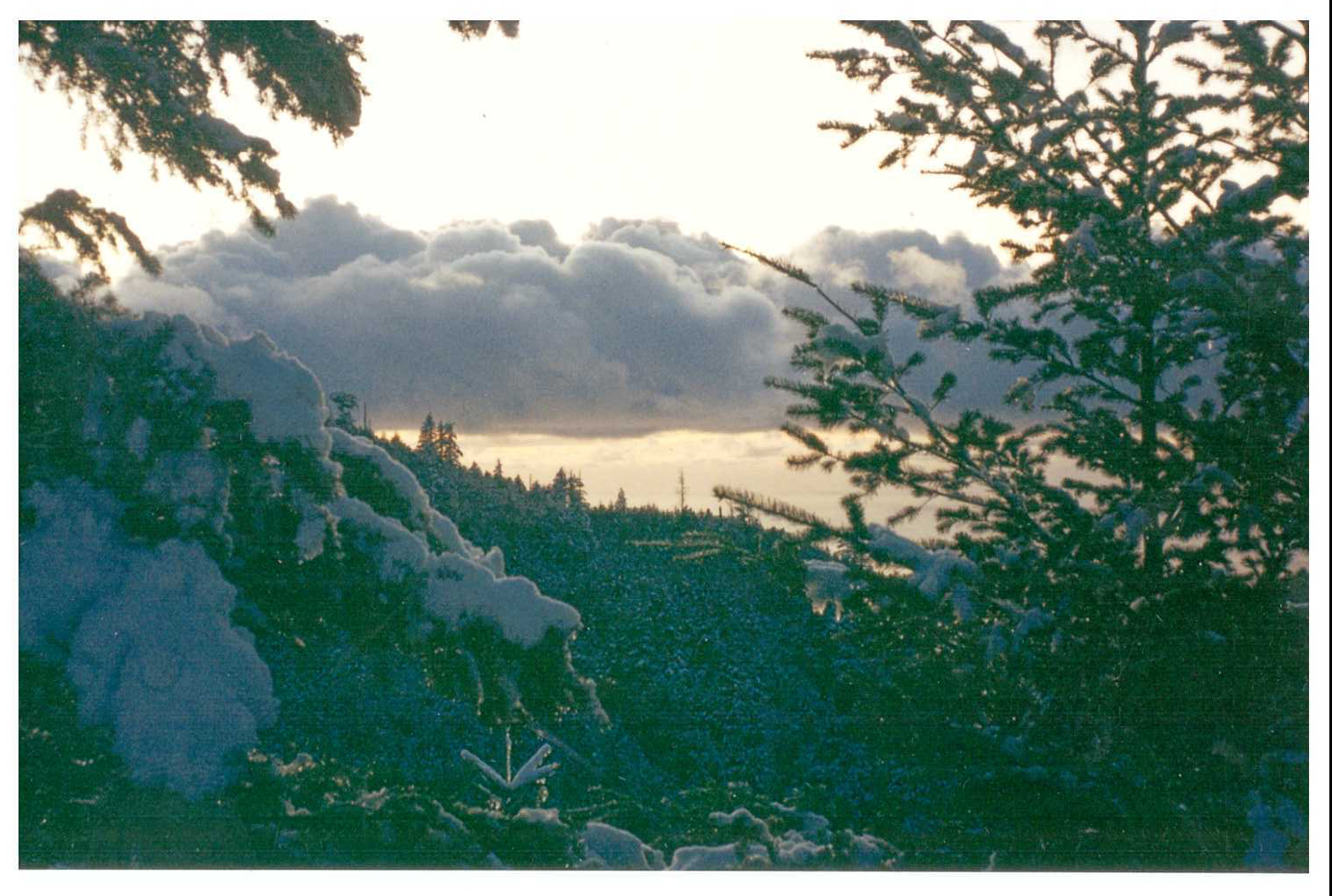 Scan_20190531_214559