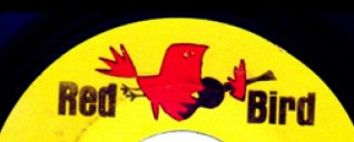 rs-135616-302ad3a7de0f50efb7f30546ac54d3feb3f48fc8